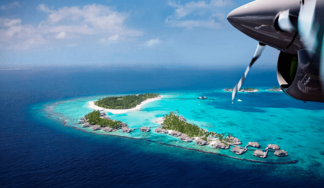 今日要闻（亚洲杯）马尔代夫2v2利比亚比分最佳教练-内幕披露