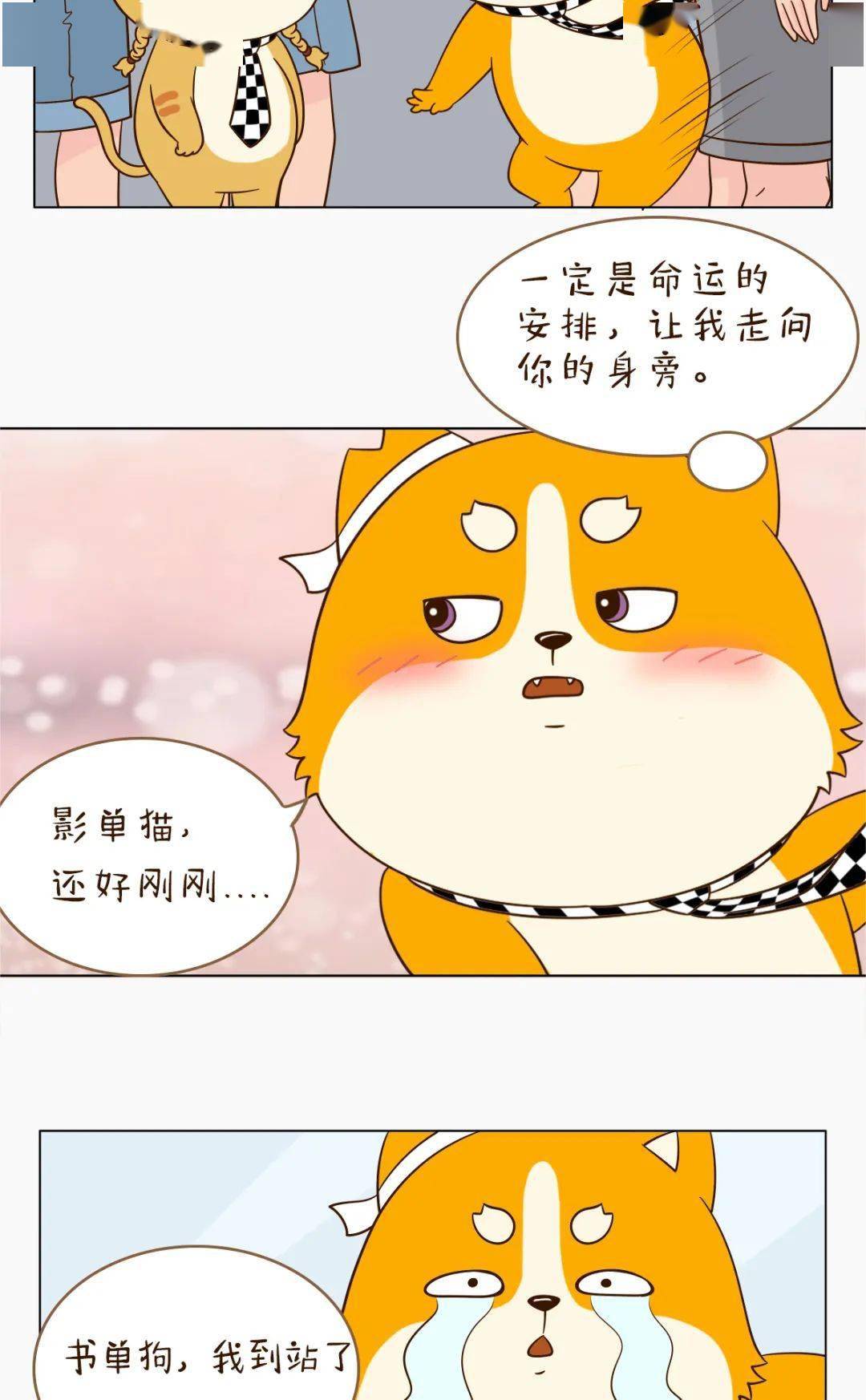 爆了（篮球决赛）几内亚、中非共和国比分纪录保持者-独家观察