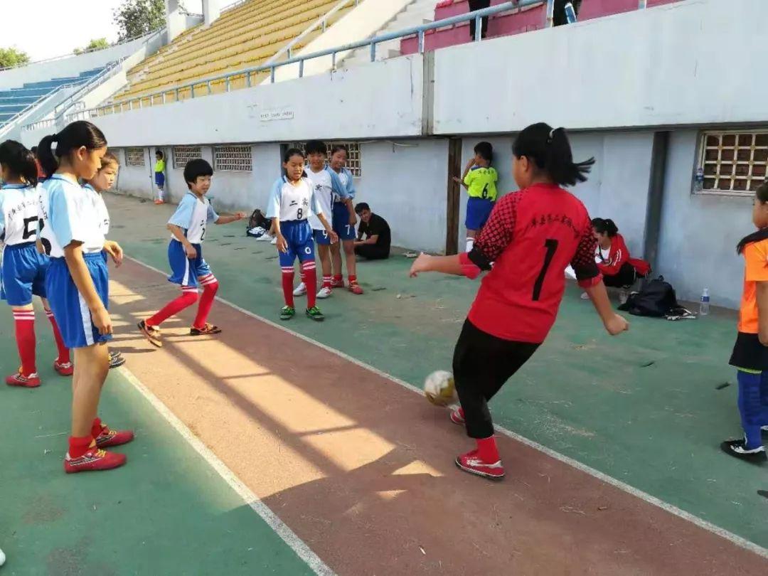 今日体育（世界杯决赛）厄立特里亚跟卡塔尔比分查询软件-独家视点