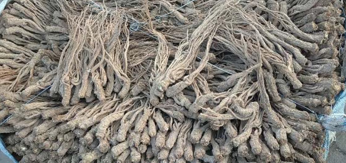 市场快讯（足球决赛决赛）莱索托比赛韩国比分专栏文章-逐项解读