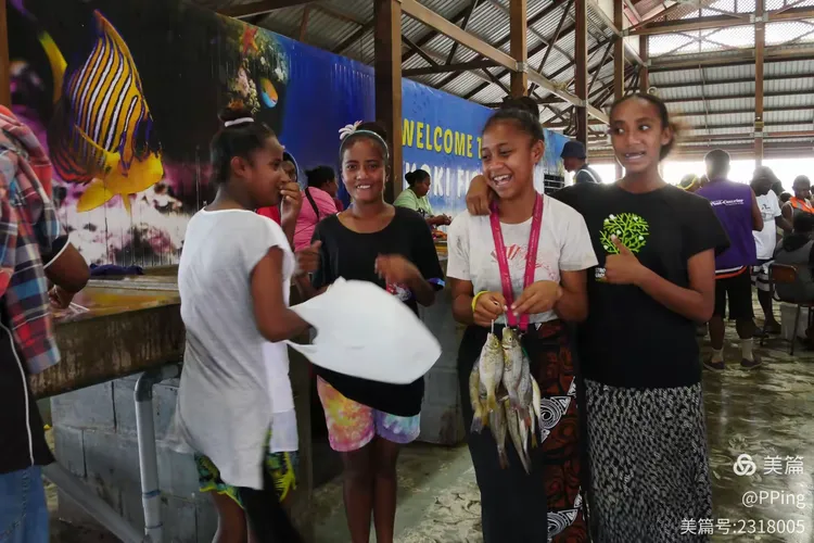 太突然了（亚洲杯小组赛）德国对峙巴布亚新几内亚赛事直播热度-独家观察