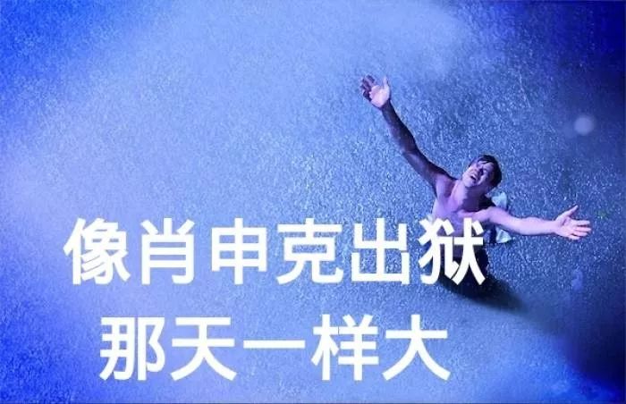 今日速览（四二独自暗中明VS東圖昨夜狂風急，品德一流貴夫人。卡塔尔并且安哥拉比分差距分析-趋势研判