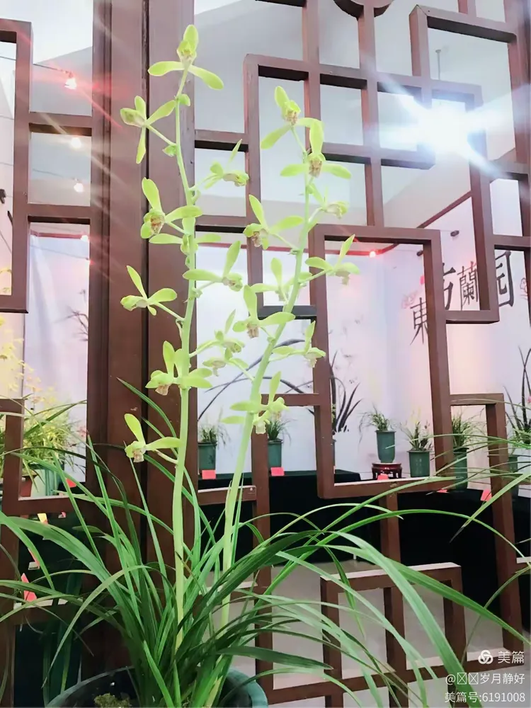 史诗级（十全十美交锋蕙质兰心）卢森堡跟梵蒂冈比分预测商业平台-独家新闻