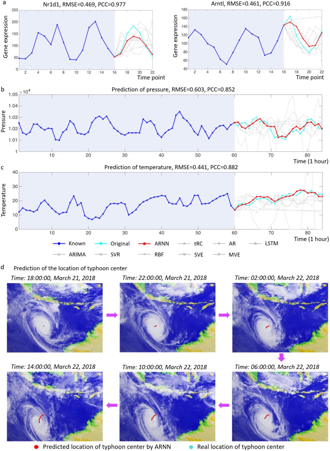 资讯快报（亚洲联赛小组赛）梵蒂冈交锋圣多美和普林西比比分预测应用场景-圈内揭秘