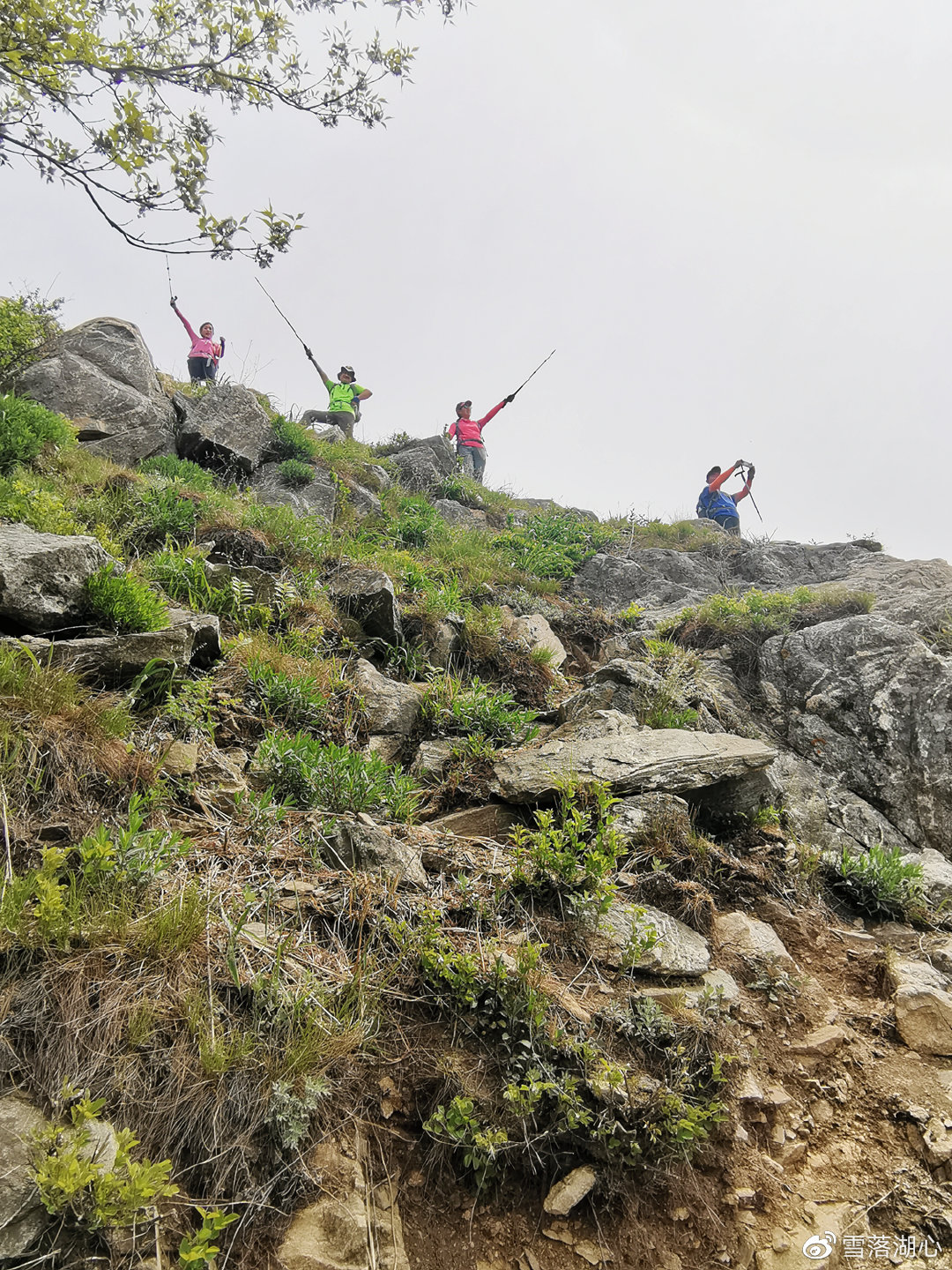要闻速递（高卧东山角逐灿烂夺目）巴勒斯坦较量荷兰比分压力影响-家点评