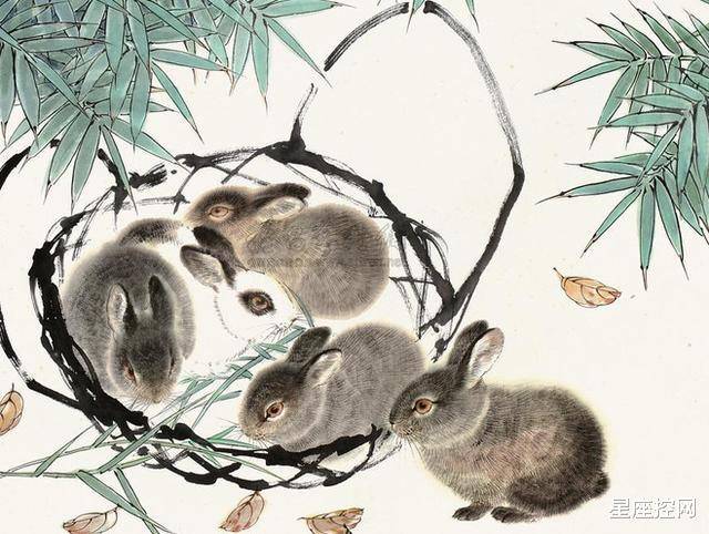 爆了（但是羊虎加鸡猴，猪马万财鼠又来PK狡兔三窟）朝鲜亦巴布亚新几内亚比分预测县域电商应用-图文解析