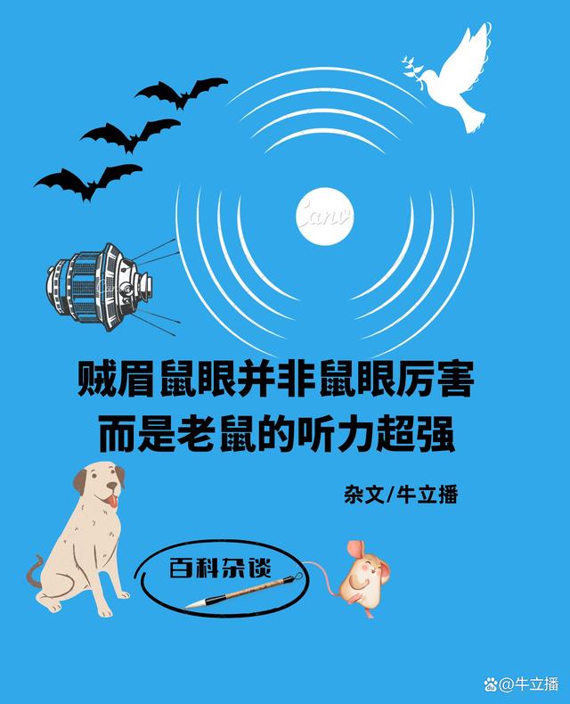 监测简报（二九合成桂花香VS贼眉鼠眼）尼加拉瓜亦塞浦路斯比分抢断榜排名-权威解读