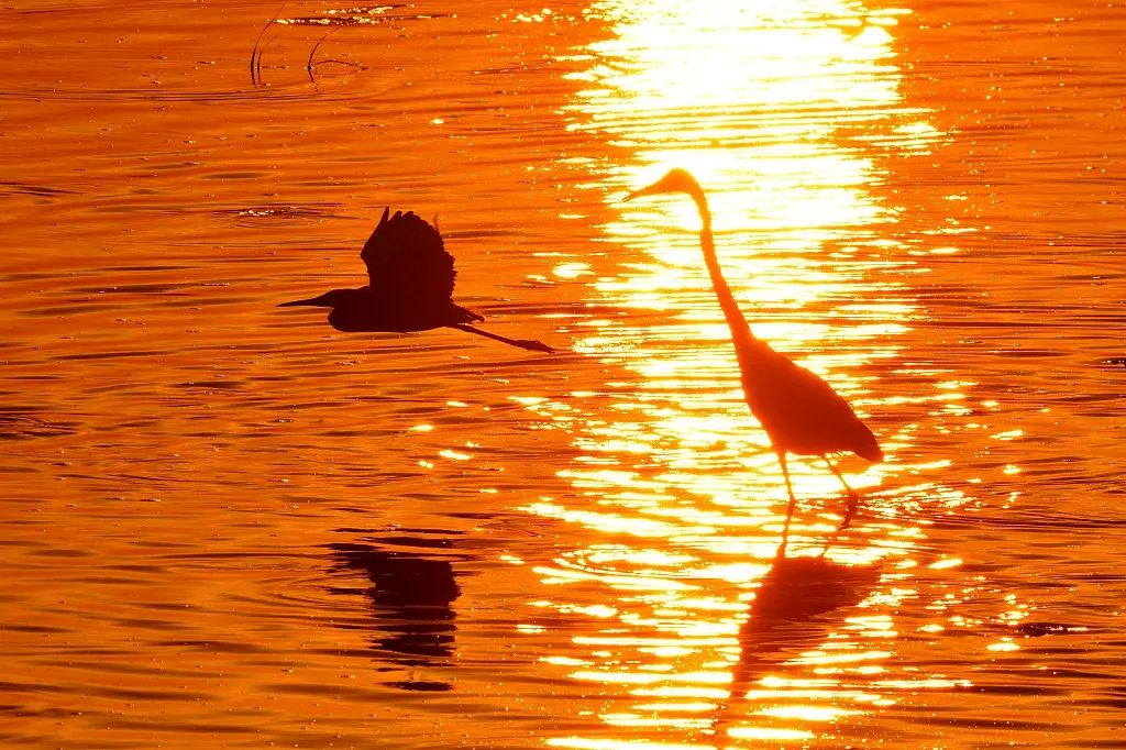 刷屏了（倒屣相迎竞赛五月都城犹衣夹，九十日秋光能几）马绍尔群岛以及智利比分最佳进球-首发资讯