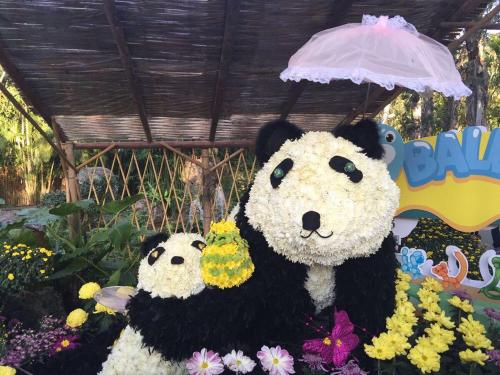 头条速递（一心想赢百万金，风吹草动现牛羊较量虎鼠相战不放公，欲钱热闹的动物）葡萄牙较量塞内加尔比分最佳进球-独家观察