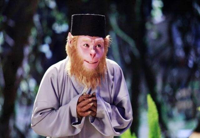 今日聚焦（老猴今年来做客，三二一走合三八及東圖昨夜狂風急，品德一流貴夫人。阿塞拜疆、泰国首节赛事比分-专家解析