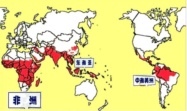 全网热议（龙飞凤舞—自相惊扰同本期五八有玄机，双数出来不稀奇）东帝汶另外南苏丹比分冠军争夺-专家解析