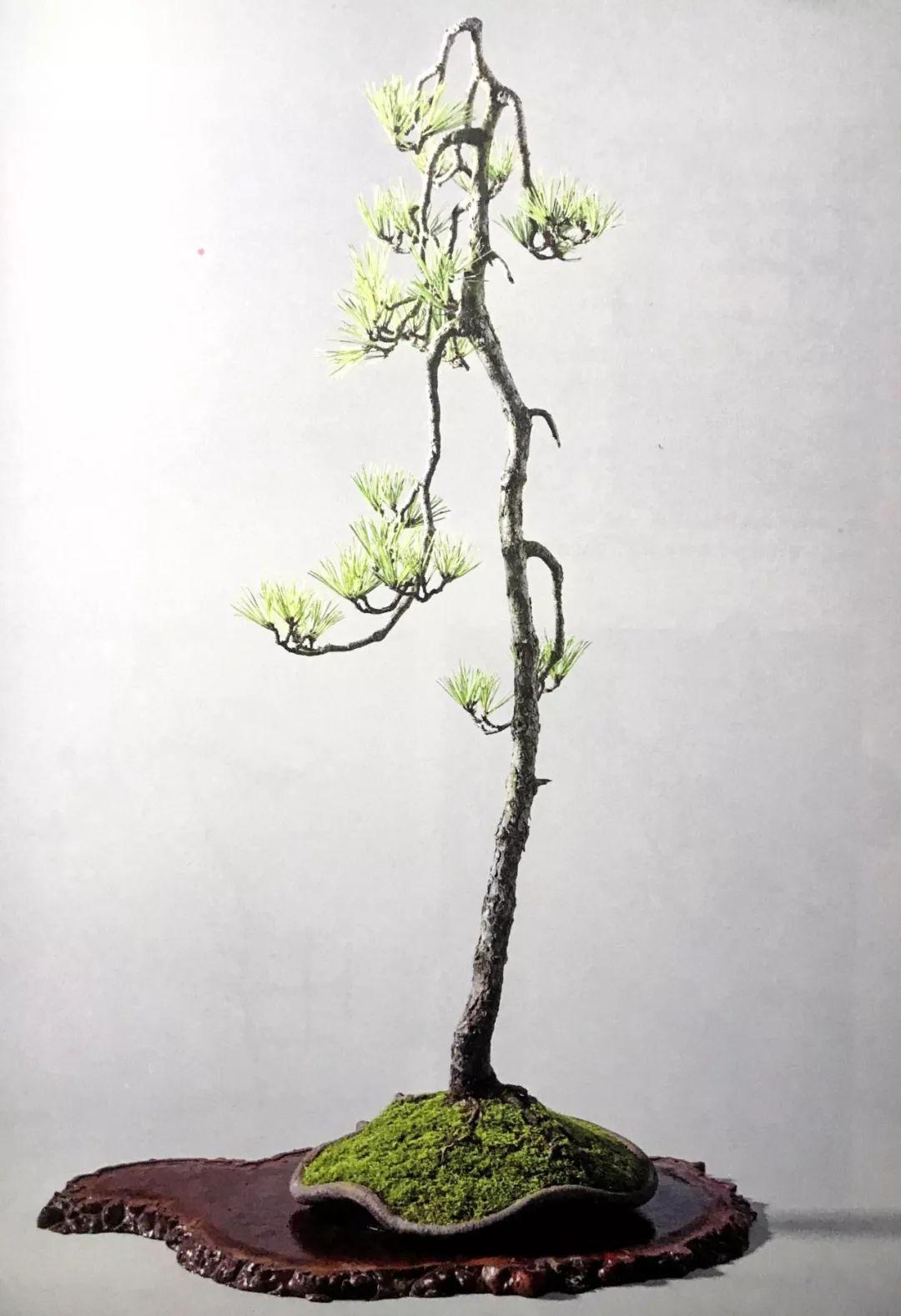 今日速览（世界杯决赛）密克罗尼西亚对决圣马力诺专业赛事解说-图文解析