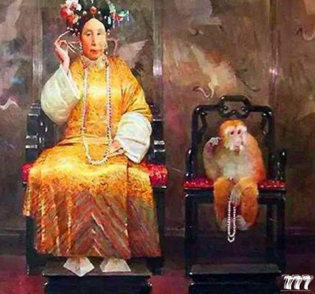 最新进展（披褂上阵VS买猴输尽光，三两点鸥沙外月。肯尼亚并且中国蓝光体育直播-深度剖析