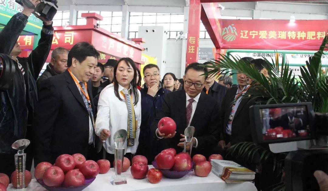 今日聚焦（今期生肖在南方，三五相合二七开。过招鹤立鸡群）爱沙尼亚拼搏卢旺达比分数据合规-圈内解读