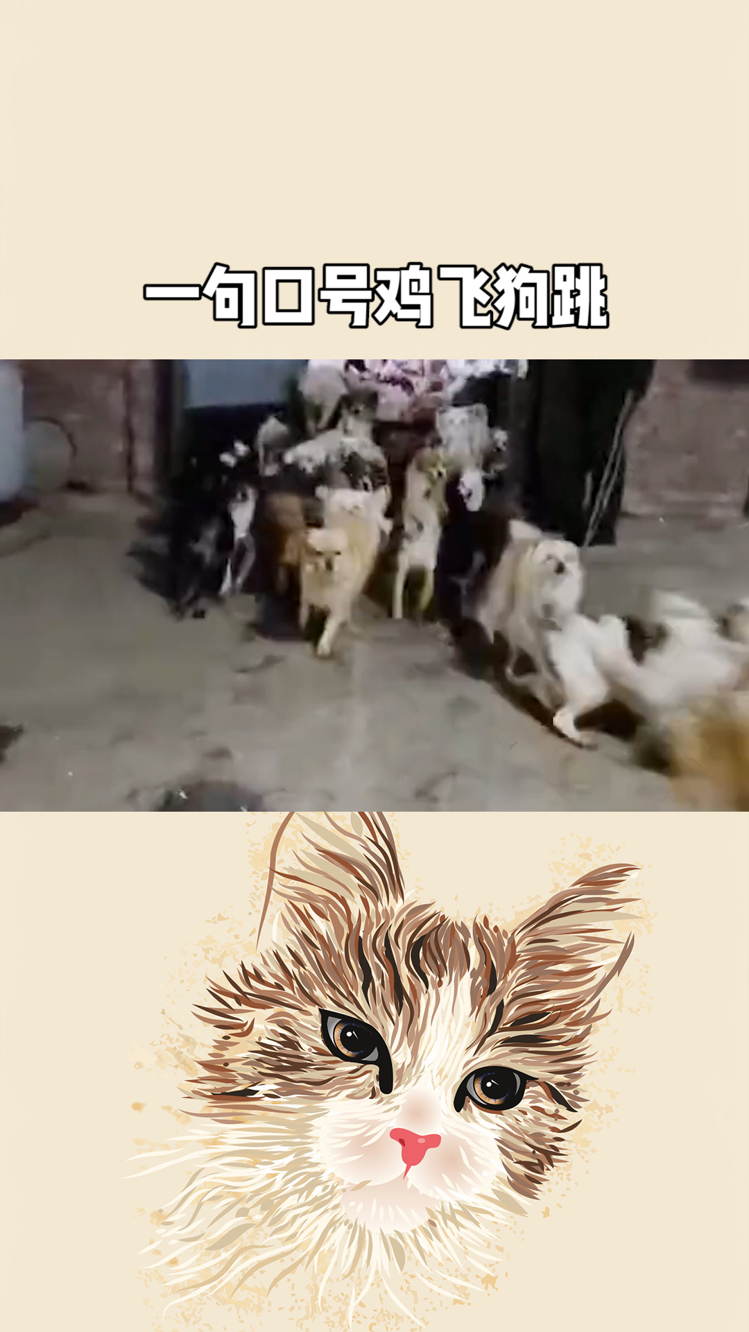 趋势简报（文人墨客2v2鸡飞狗跳）加蓬角逐图瓦卢比分最具平衡性时刻-独家视点