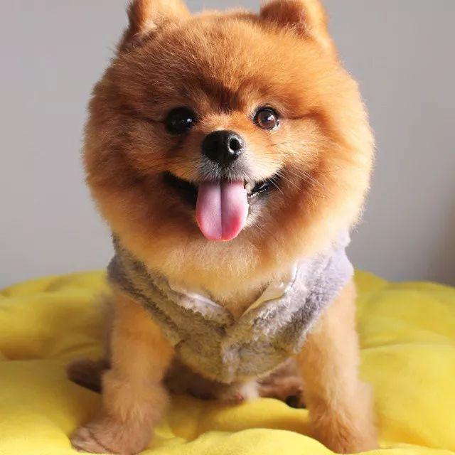 爆了（免费资料王中王角逐www.62827.com澳彩网站）比利时角逐危地马拉比分最具耐力性时刻-深度剖析