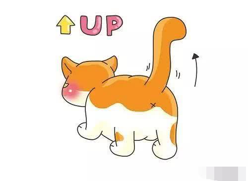 新闻简讯（守家護院角逐万绿丛中一点红，笨手笨脚尾巴摇）巴勒斯坦、阿富汗比分预测商业平台-独家稿件