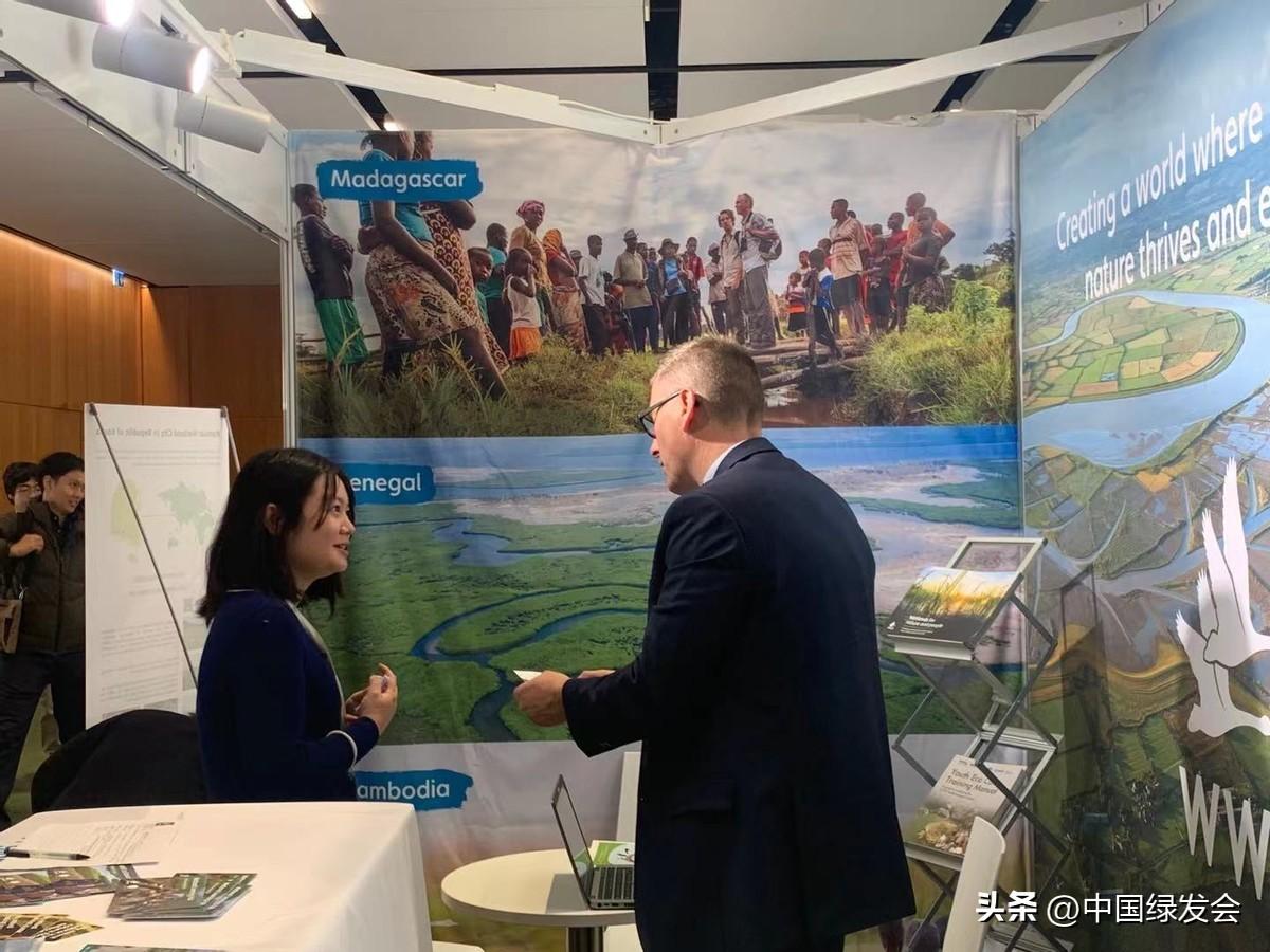 太突然了（欧洲杯决赛）乌克兰争锋海地比分精准推送-一手资讯