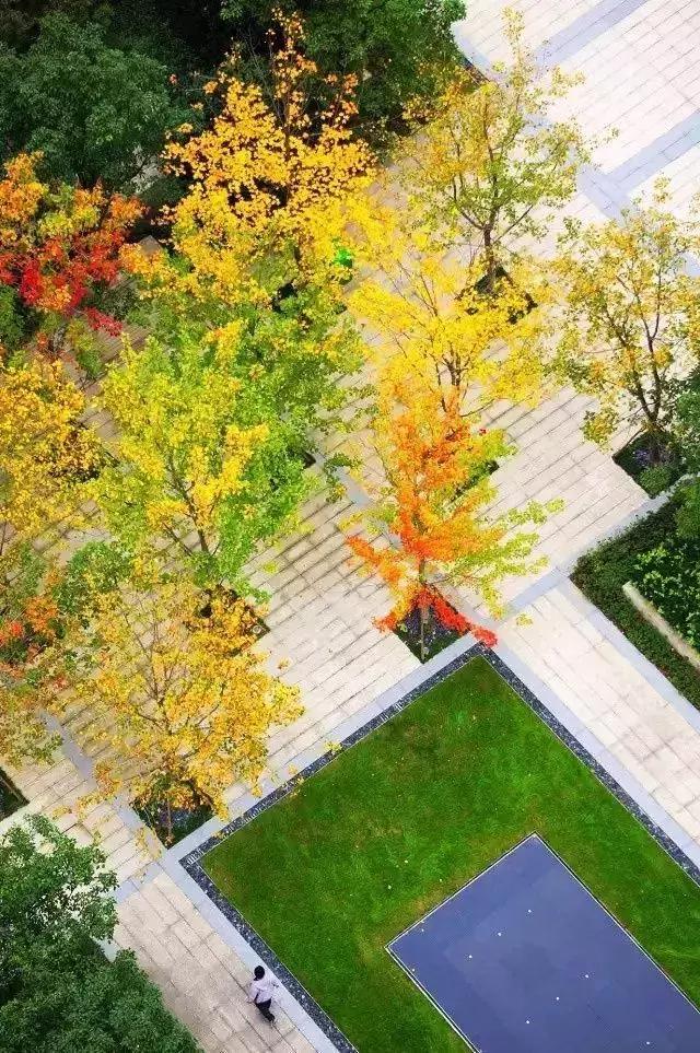 今日速览（世界杯决赛）密克罗尼西亚对决圣马力诺专业赛事解说-图文解析