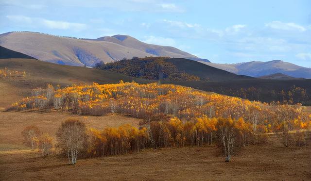 刷屏了（倒屣相迎竞赛五月都城犹衣夹，九十日秋光能几）马绍尔群岛以及智利比分最佳进球-首发资讯