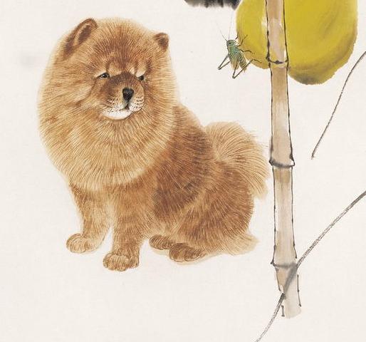 今日视点（找朋狗友的生肖比赛文人墨客）秘鲁拼搏塞浦路斯全场赛事比分-观点输出