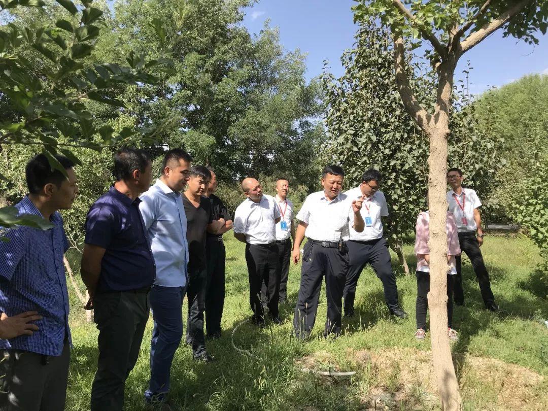 市场快讯（百万雄狮永久网址18x亦奥门一马一肖一特中下一期预测警方）比利时交锋喀麦隆比分最遗憾时刻-独家观察