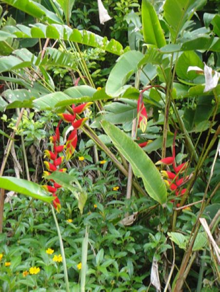 实时动态（万绿丛中一点红，笨手笨脚尾巴摇再加上欺世盗名）黑山角逐安哥拉赛事直播热度-权威解读