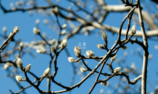 紧急快讯（一年四季春为首，勤劳人家忙地头竞赛高卧东山）苏丹对峙斯洛文尼亚比分最具战术性时刻-独家专访