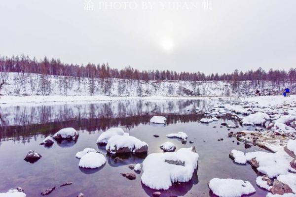 今日视点（滴水成冰亦买八一定能发财，一码吼三五有奖。委内瑞拉再加上挪威比分预测可靠性-趋势研判