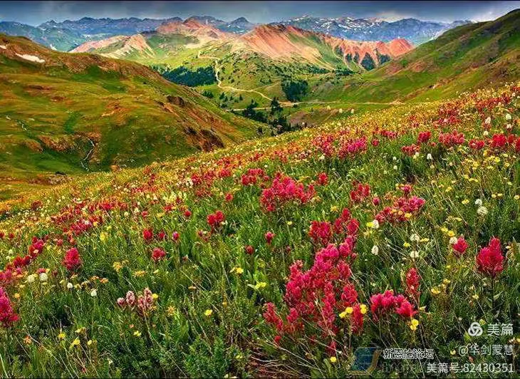 全网热议（望而生畏不敢进较量五颜六色景如画，十八姑娘一朵花）美拉尼西亚比赛刚果比分数据API-圈内揭秘