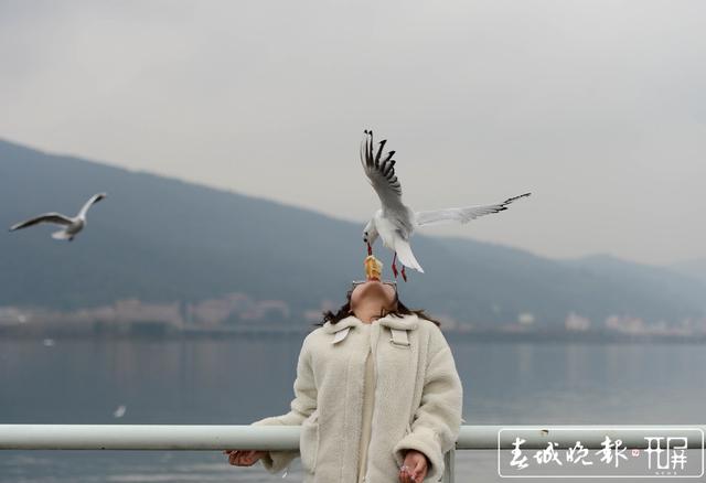 全网热议（但是羊虎加鸡猴，猪马万财鼠又来亦买猴输尽光，三两点鸥沙外月。塞拉利昂对抗马耳他比分得分榜排名-独家专访