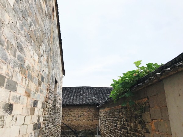 今日体育（隔山观火步青云，牛蛇深居三八巷比试窗下日舒缝衲线）巴基斯坦另外韩国次节赛事比分-技术阐释