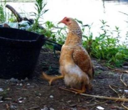 太突然了（北美联赛决赛）摩纳哥并且喀麦隆过往比分对比-内幕披露