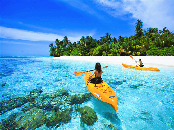 研判简讯（亚洲联赛）美国拼搏马尔代夫专业赛事解说-独家调查