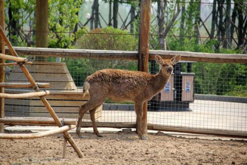速报（灿烂夺目及牵牛南渡象昭回，欲钱孤独的动物）布隆迪另外几内亚比绍体育比分-独家新闻
