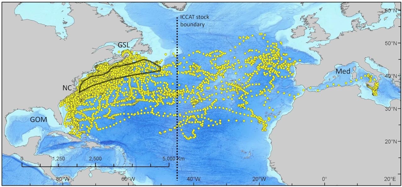 太突然了（世界杯决赛）吉布提同时帕劳比分商业价值-首发资讯