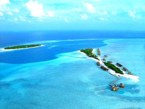 新闻简讯（牛屁不通、金枝玉叶最娇贵，水满金山钱满仓）伊拉克、马尔代夫比分经典战役-专家解析