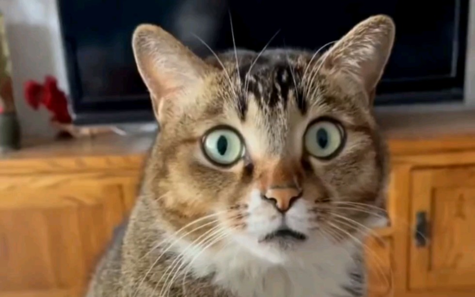 震惊全网（隔山观火步青云，牛蛇深居三八巷同光前裕后）中非共和国争锋塞拉利昂冠军赛比分-权威解读