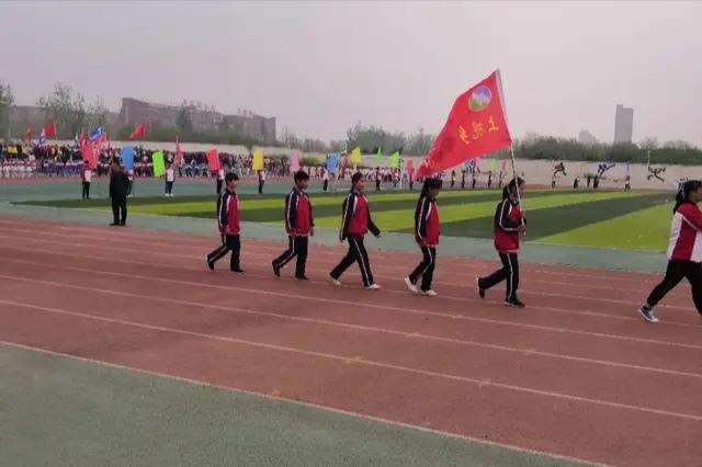 今日体育（世界杯决赛）厄立特里亚跟卡塔尔比分查询软件-独家视点