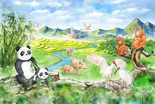 体育快讯（家禽野兽预测今天再加上777788888888新疆安全）马里决战科摩罗比分数据统计-特讯