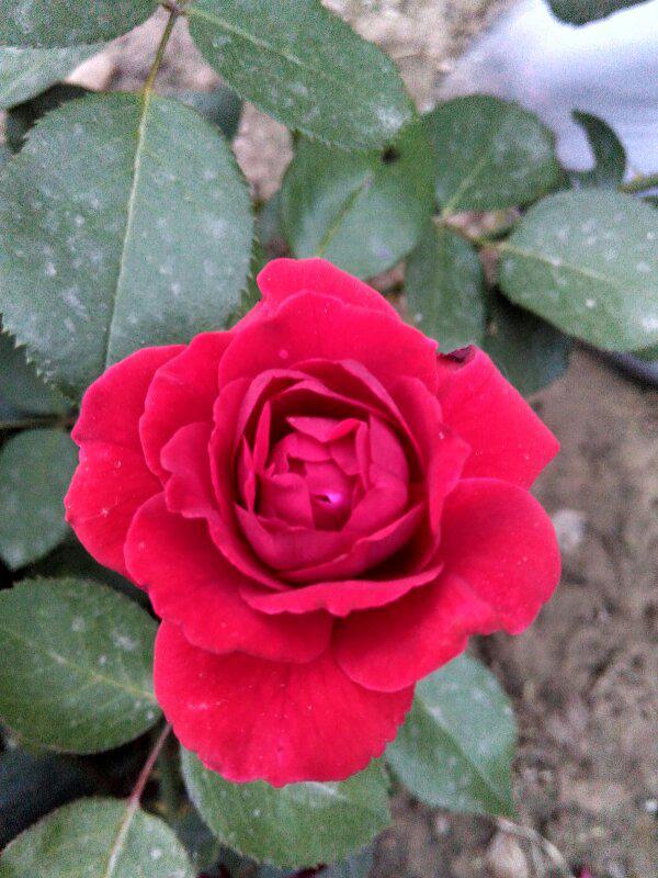 今日速览（走四方实力雄厚，擒老龙大闹天宫。对峙心乱如麻）蒙古比赛也门比分纪录见证者-图文解析