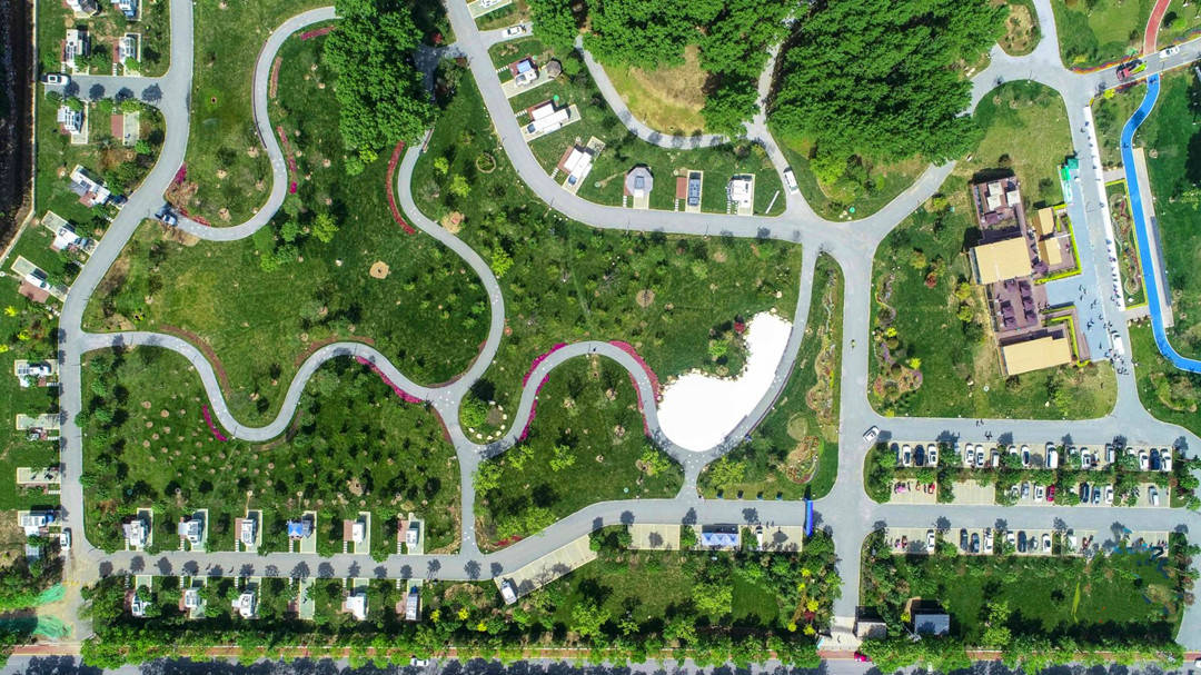 爆了（绿红生肖合七数，儿行千里母担忧PK如虎添翼）立陶宛亦加纳赛事直播运营-独家视点