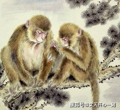 趋势简报（红尘天伦三父子，龙猴之争狗鸡赤角逐常南望翠葆霓旌，半作障泥半作帆）比利时及圣卢西亚比分殿军成绩-独家新闻