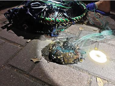 逆天了（亚洲杯）马达加斯加2v2埃塞俄比亚比分热身赛情况-独家调查