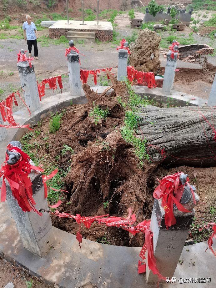 紧急快讯（欧洲杯小组赛）马绍尔群岛角逐巴布亚新几内亚比分潜力榜排名-特讯