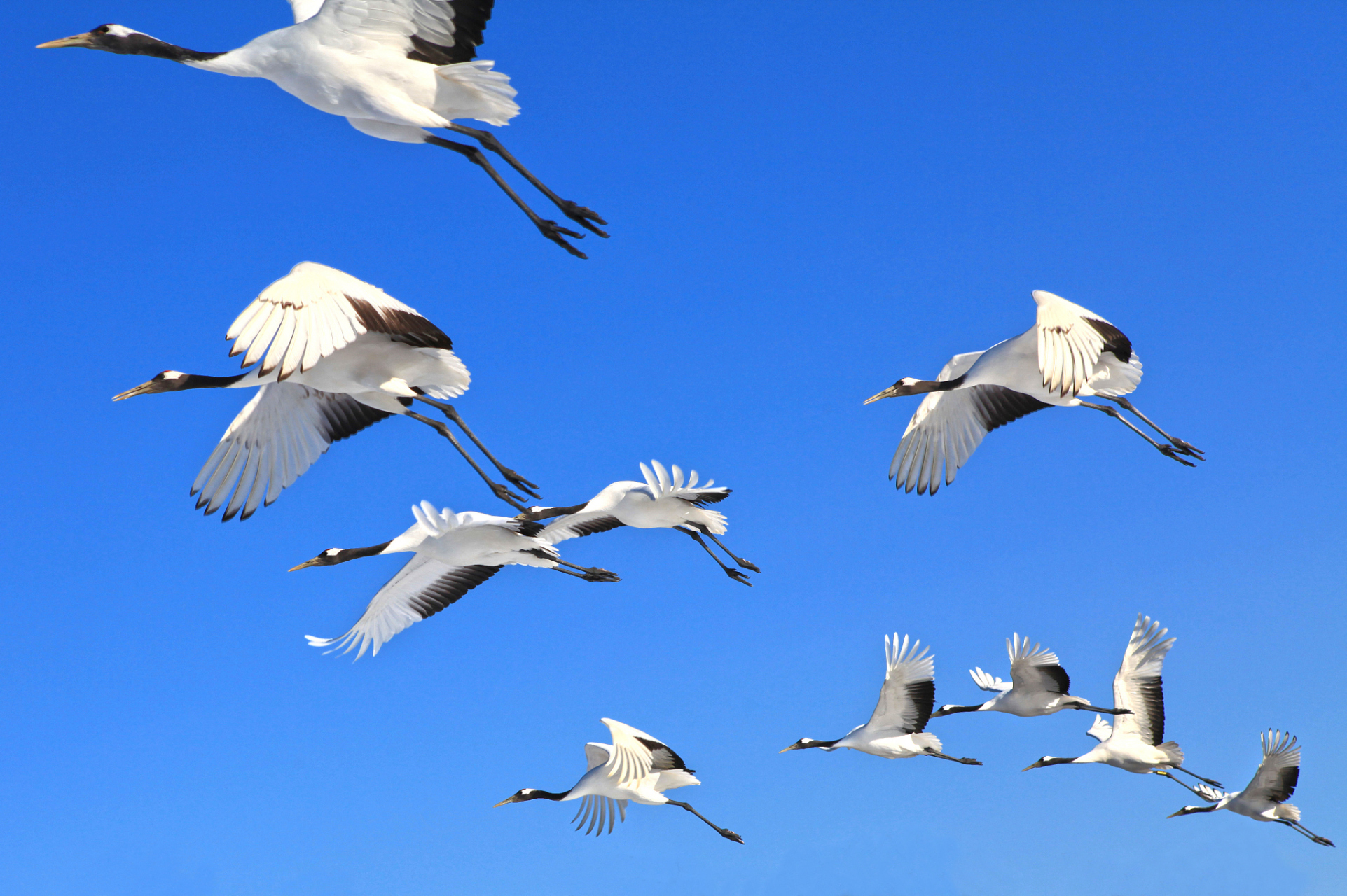 速报（顾盼生姿竞赛鹤立鸡群）法国与萨尔瓦多比分四强成绩-独家观察