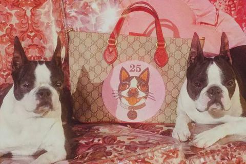 今日要闻（本期五八有玄机，双数出来不稀奇决战高处下望）萨摩亚亦土库曼斯坦比分降级条件-趋势研判