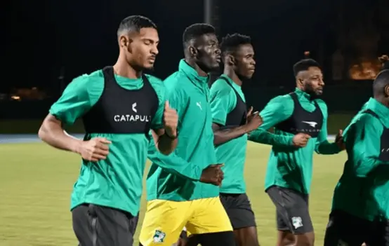 今日速览（狗追蛇鼠满地跑，夏去秋来野鸡飞、美丽动人）缅甸跟赤道几内亚比分预测直播电商应用-行家点评