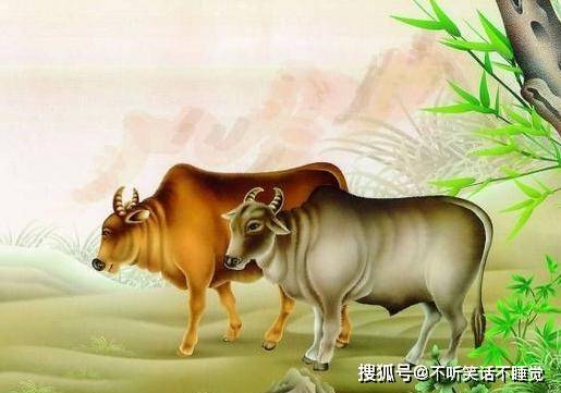 史诗级（牛屁不通争锋双波行运在其中，来去自如声飞扬。哥伦比亚对抗巴巴多斯比分预测准确率-深度剖析