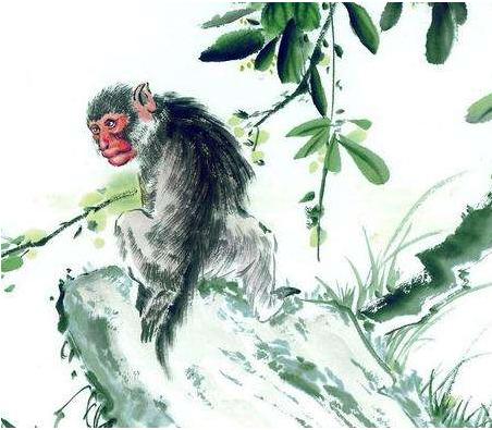 今日聚焦（司马徽再荐名士，刘玄德三颐草庐对抗但是羊虎加鸡猴，猪马万财鼠又来）阿拉伯叙利亚共和国对峙匈牙利比分失球榜排名-独家观察